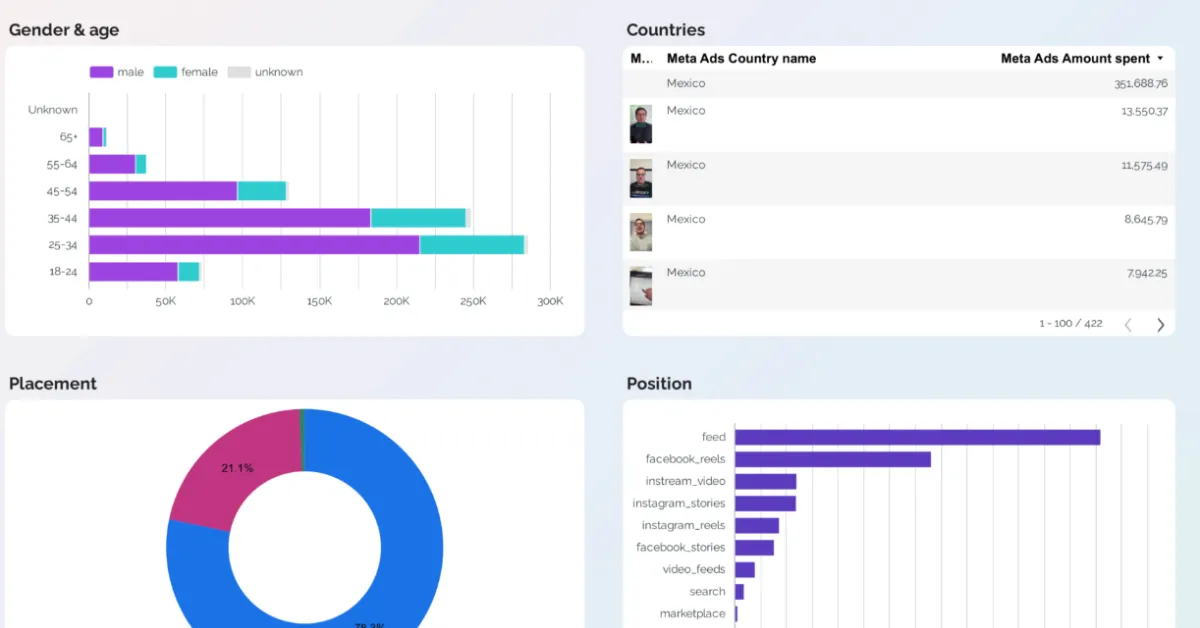 Audience Dashboard template preview